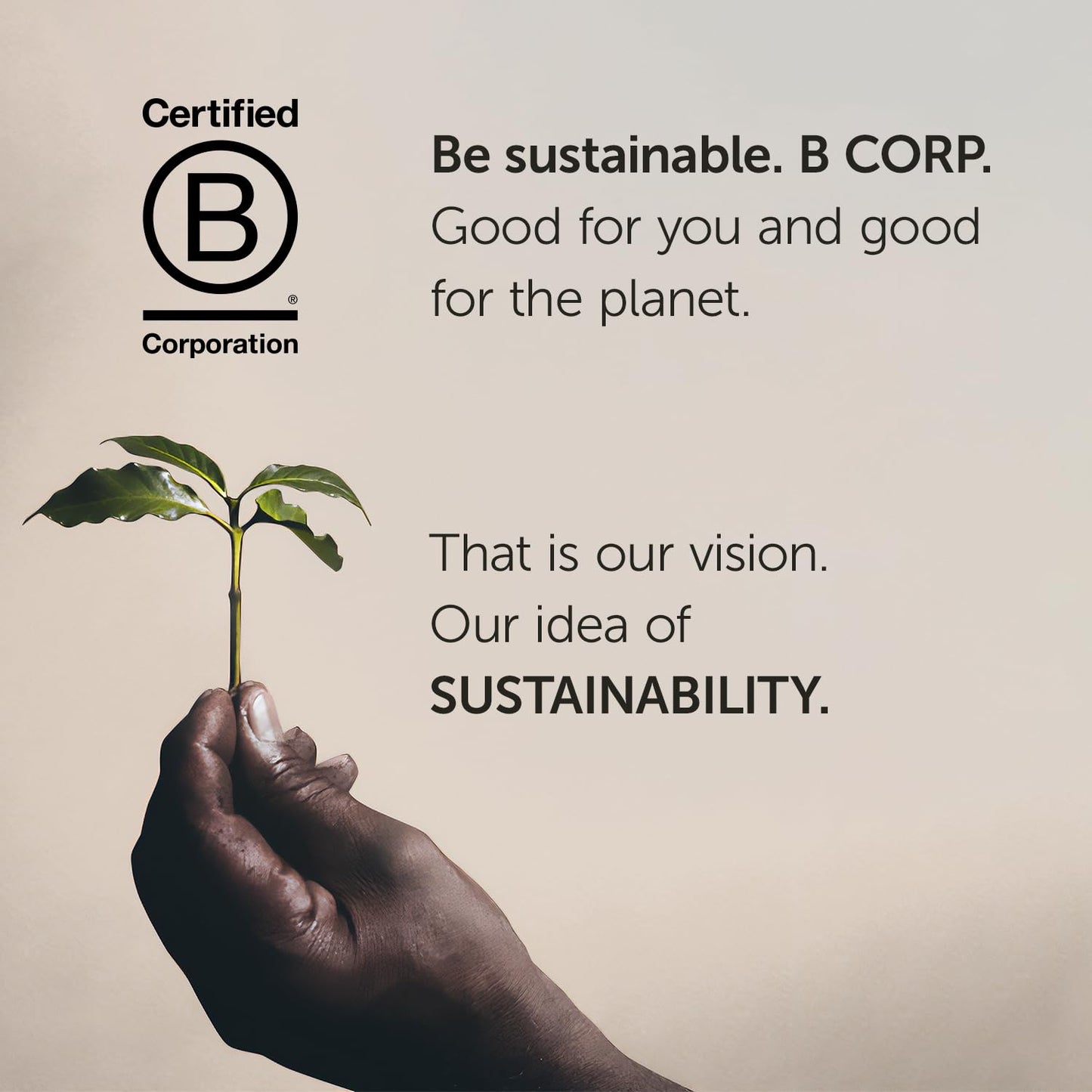 illy Arabica Selections Nicaragua Whole Bean Coffee, 100% Arabica Bean Single Origin Coffee, No Preservatives, 8.8oz (Pack of 1)