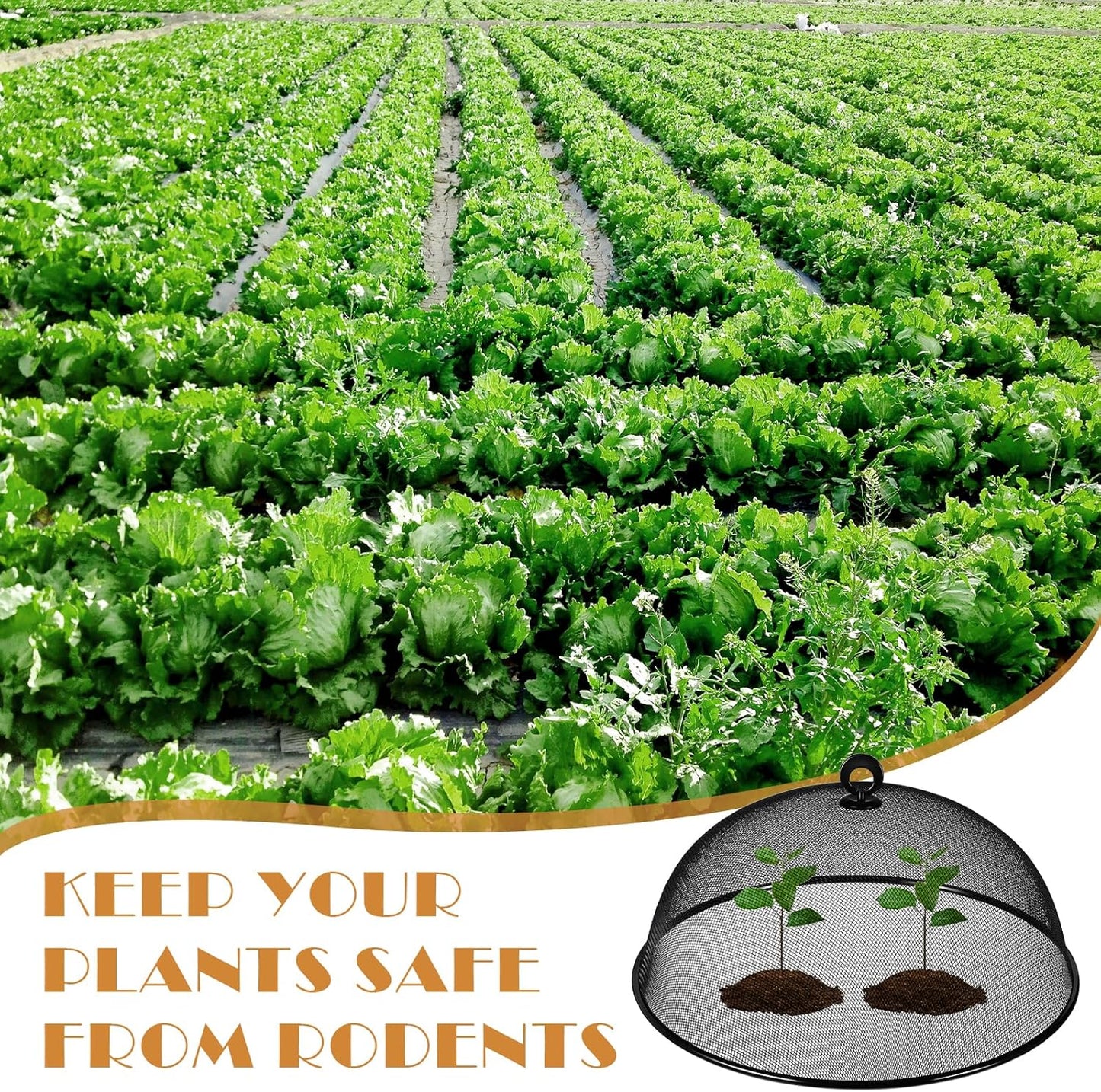 4 Pcs Metal Mesh Food Cover 14'' 12'' 11'' 10'' Food Screens for Outdoors Food Domes for Outdoor Picnic Food Net Covers for Outside Keep out Flies for Table Picnic Camping